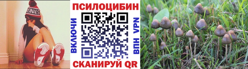 Псилоцибиновые грибы MAGIC MUSHROOMS  это как зайти  Верхняя Салда 