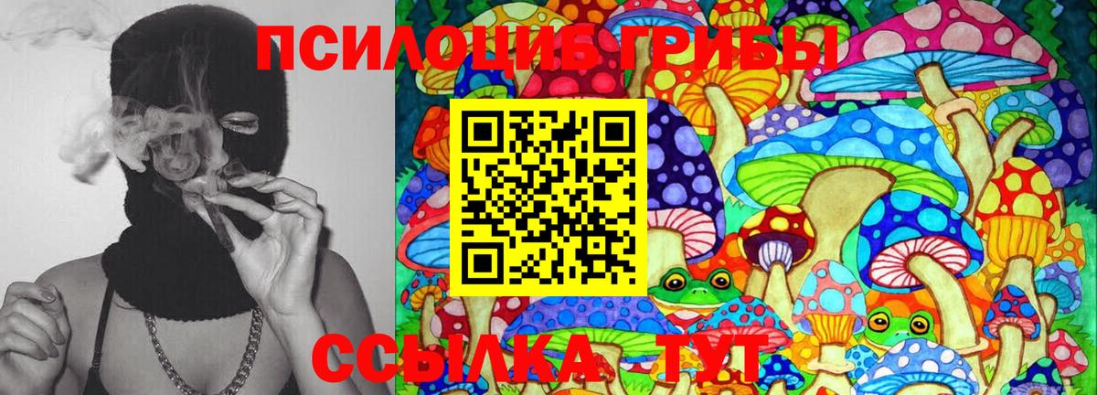 Галлюциногенные грибы мицелий Верхняя Салда