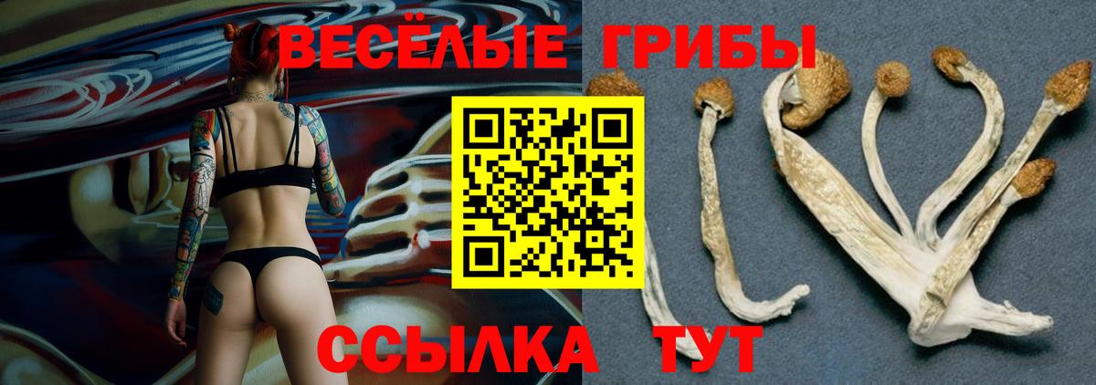 купить закладку  Верхняя Салда  Псилоцибиновые грибы ЛСД 