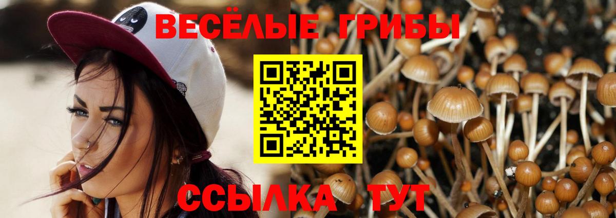 Галлюциногенные грибы мухоморы  Вход с VPN  Верхняя Салда 